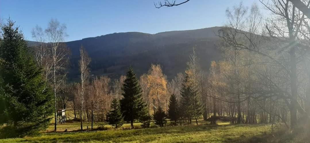 Ferienwohnung Zakatek Pod Lipka Stary Gieraltow Exterior foto